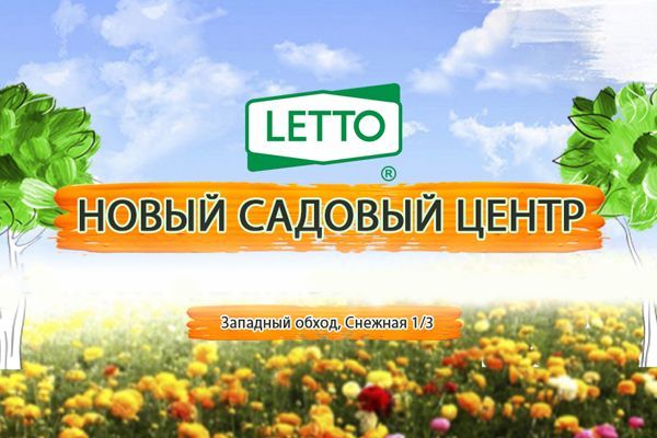 Магазин Летто Новороссийск Адрес