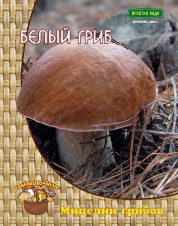 Белый гриб, мицелий грибов Поиск 60мл