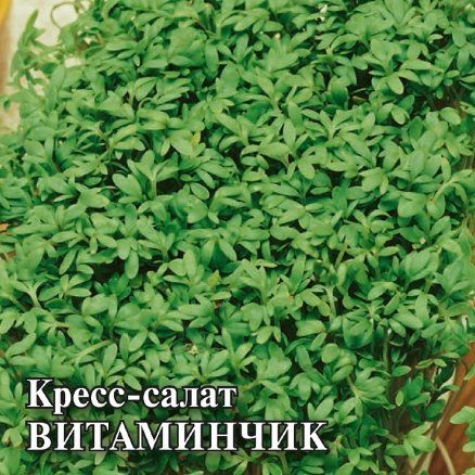 Салат Кресс-салат Витаминчик, семена Гавриш Фермер Профи Крупная фасовка 25г