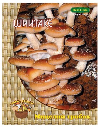 П/грибы Шиитаке *12шт