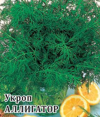 Укроп Аллигатор, семена Гавриш Фермер Профи Крупная фасовка 50г