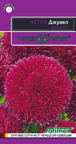 Астра Джувел Родолит, семена Гавриш Эксклюзив 0,05г