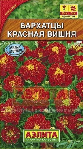 Бархатцы отклоненные Красная вишня, семена Аэлита 0,3г