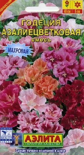 Годеция Азалиецветковая смесь, семена Аэлита 0,05г