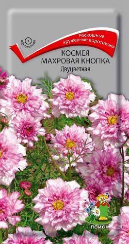 Космея махровая Кнопка Двуцветная, семена Поиск 0,1г