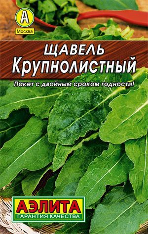 Щавель Крупнолистный, семена Аэлита Лидер 0,5г