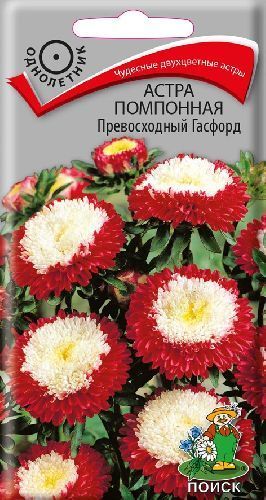 Астра помпонная Превосходный Гасфорд, семена Поиск 0,3г