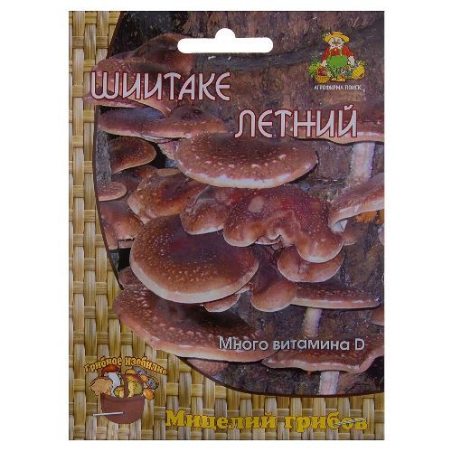 П/грибы Шиитаке летний *12шт