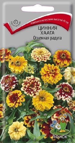 Цинния Хаага Огненная радуга, семена Поиск 0,3г