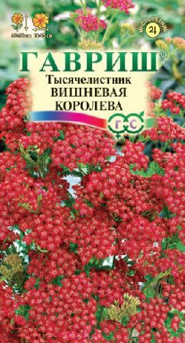 Тысячелистник Вишневая королева, семена Гавриш 0,05г