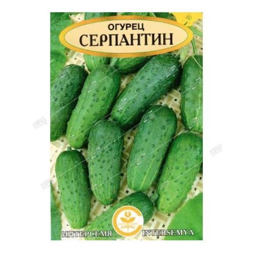 Огурец Серпантин, семена Интерсемя 0,5г