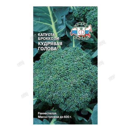 Капуста брокколи Кудрявая голова, семена Седек 0,5г