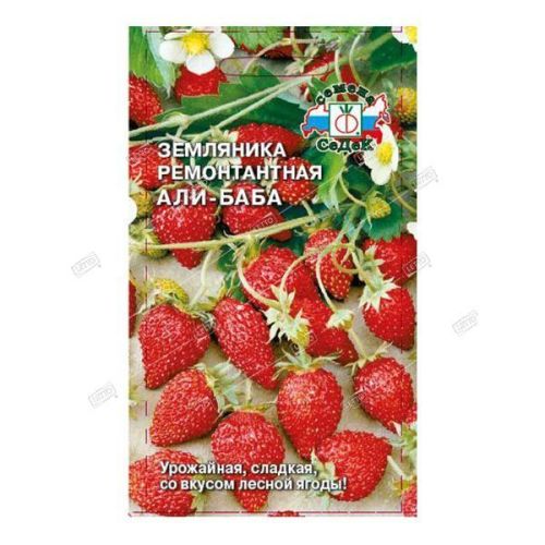 Земляника ремонтантная Али-Баба, семена Седек 0,04г