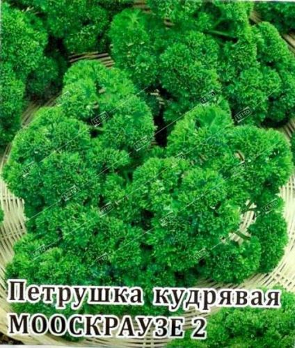 Петрушка кудрявая Ажур, семена Весовые кг