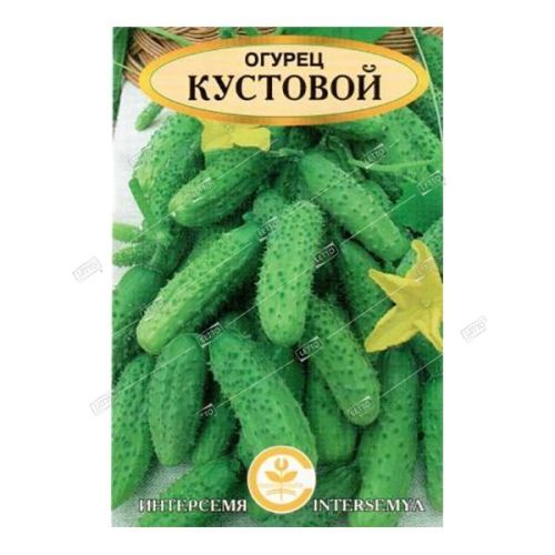 Огурец Кустовой, семена Интерсемя 0,5г