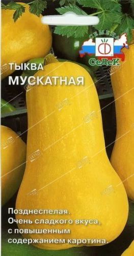 Тыква Мускатная, семена Седек 2г