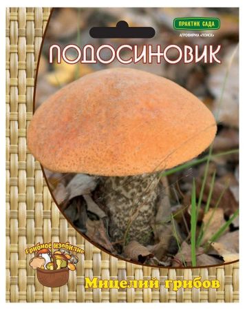 Подосиновик, мицелий грибов Поиск 60мл