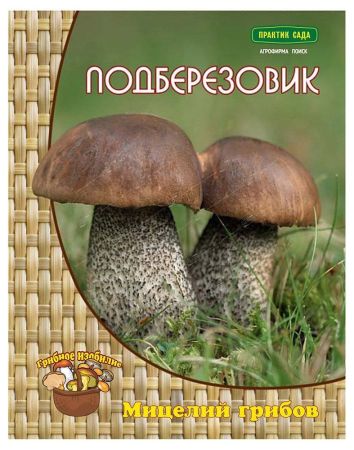 Подберезовик, мицелий грибов Поиск 60мл