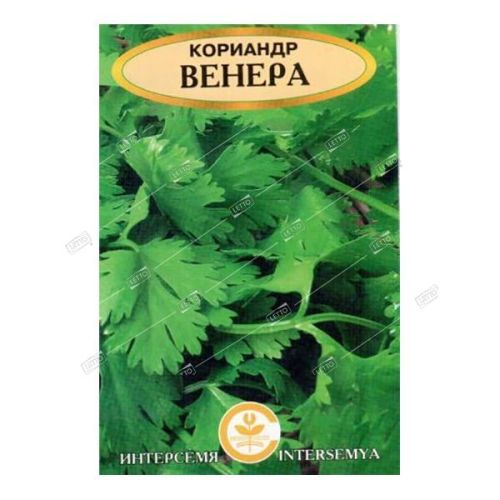 Кориандр (кинза) Венера, семена Интерсемя 5г