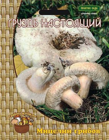 Груздь настоящий, мицелий грибов Поиск 60мл