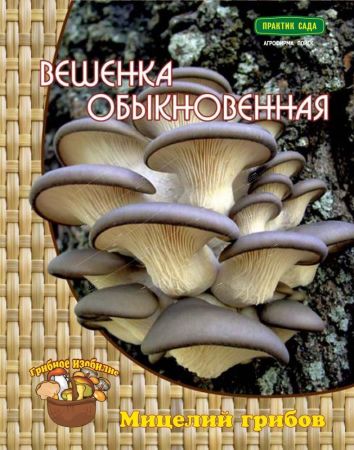 Вешенка обыкновенная, мицелий грибов Поиск 12шт