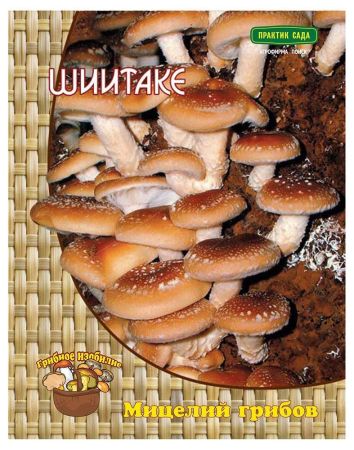 Шиитаке, мицелий грибов Поиск 12шт