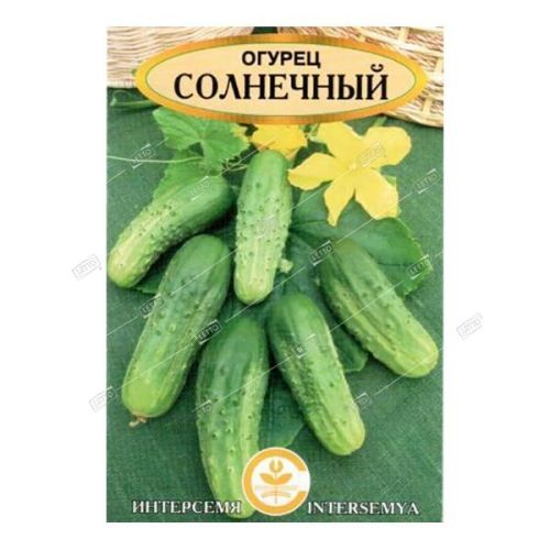 Огурец Солнечный, семена Интерсемя 0,5г