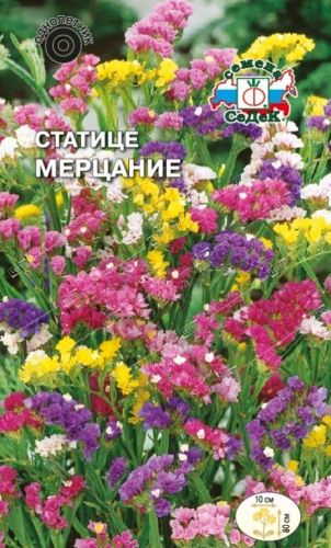 Статица Мерцание смесь, семена Седек 0,2г