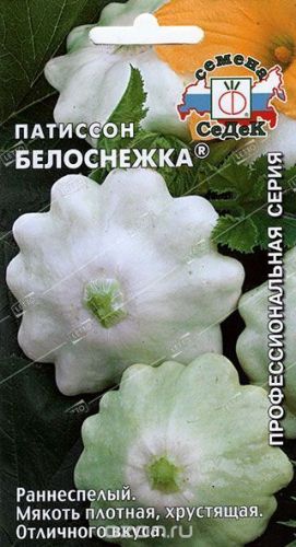 Патиссон Белоснежка, семена Седек 1г