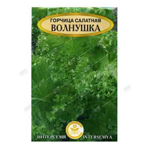 Горчица салатная (Волнушка), семена Интерсемя 5г