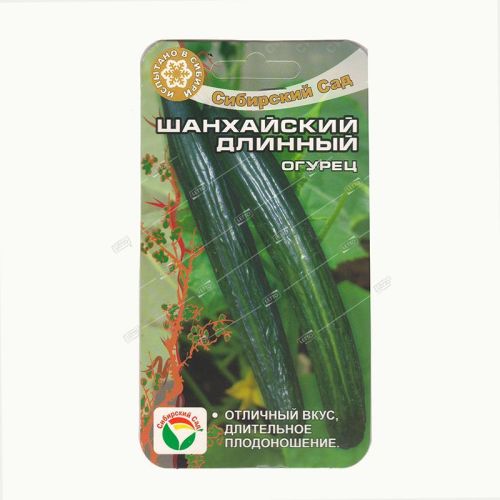 Огурец Шанхайский длинный, семена Сибирский сад 10шт