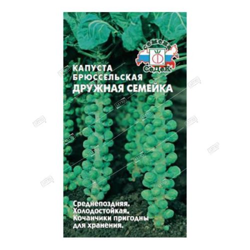 Капуста брюссельская Дружная семейка, семена Седек 0,3г