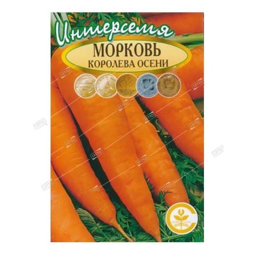 Морковь Королева Осени, семена Интерсемя 2г