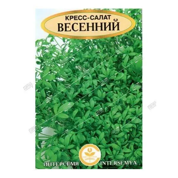 Салат весенний семена фото